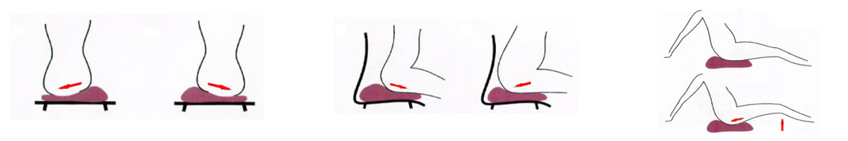 exercices du périnée coussin