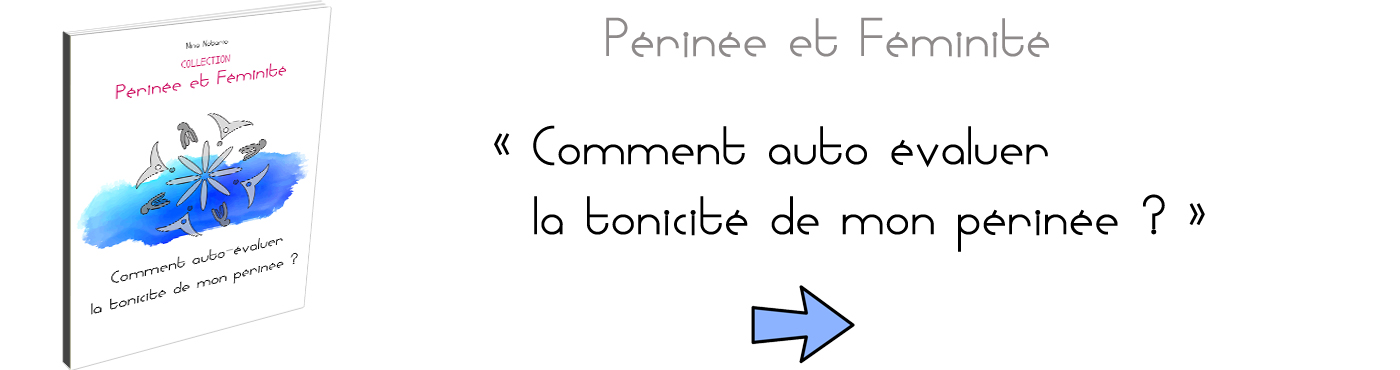périnée orgasme sexualité